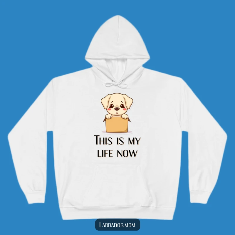 Funny Bewildered Labrador Hoodie: Cozy Box Struggle, Hilarious Dog Wear